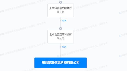數(shù)據(jù)處理與存儲支持服務(wù) 構(gòu)建數(shù)字時代的堅實基座